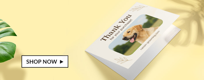 Cartes de vœux