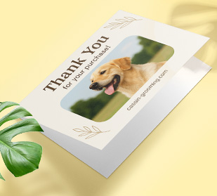 Tarjetas De Felicitación