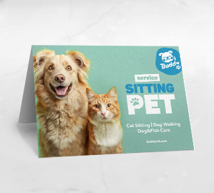 Tarjetas De Felicitación